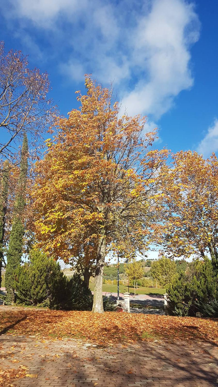 Valladolid se viste de otoño
