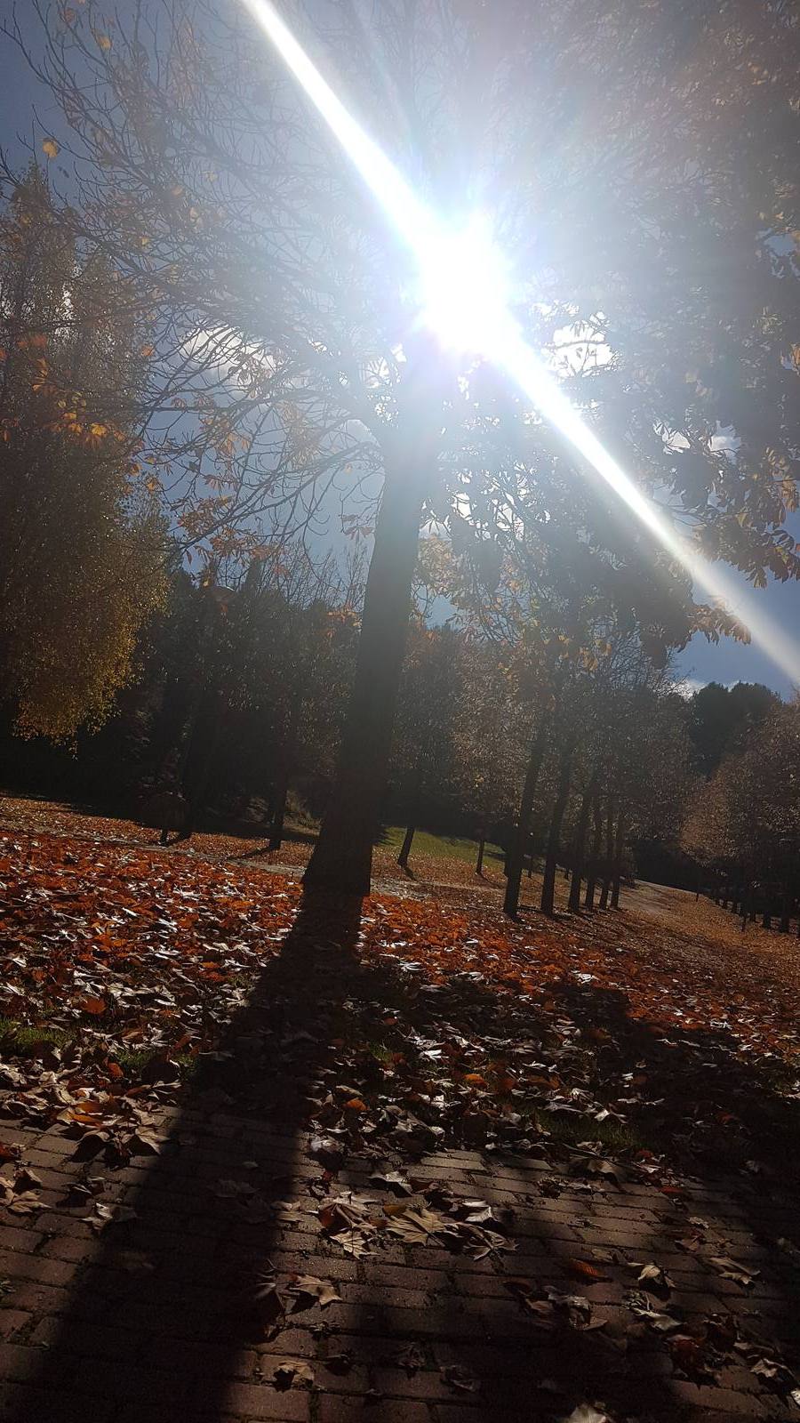 Valladolid se viste de otoño