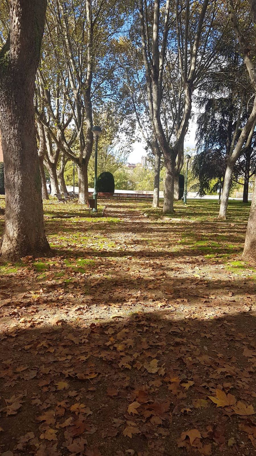 Valladolid se viste de otoño