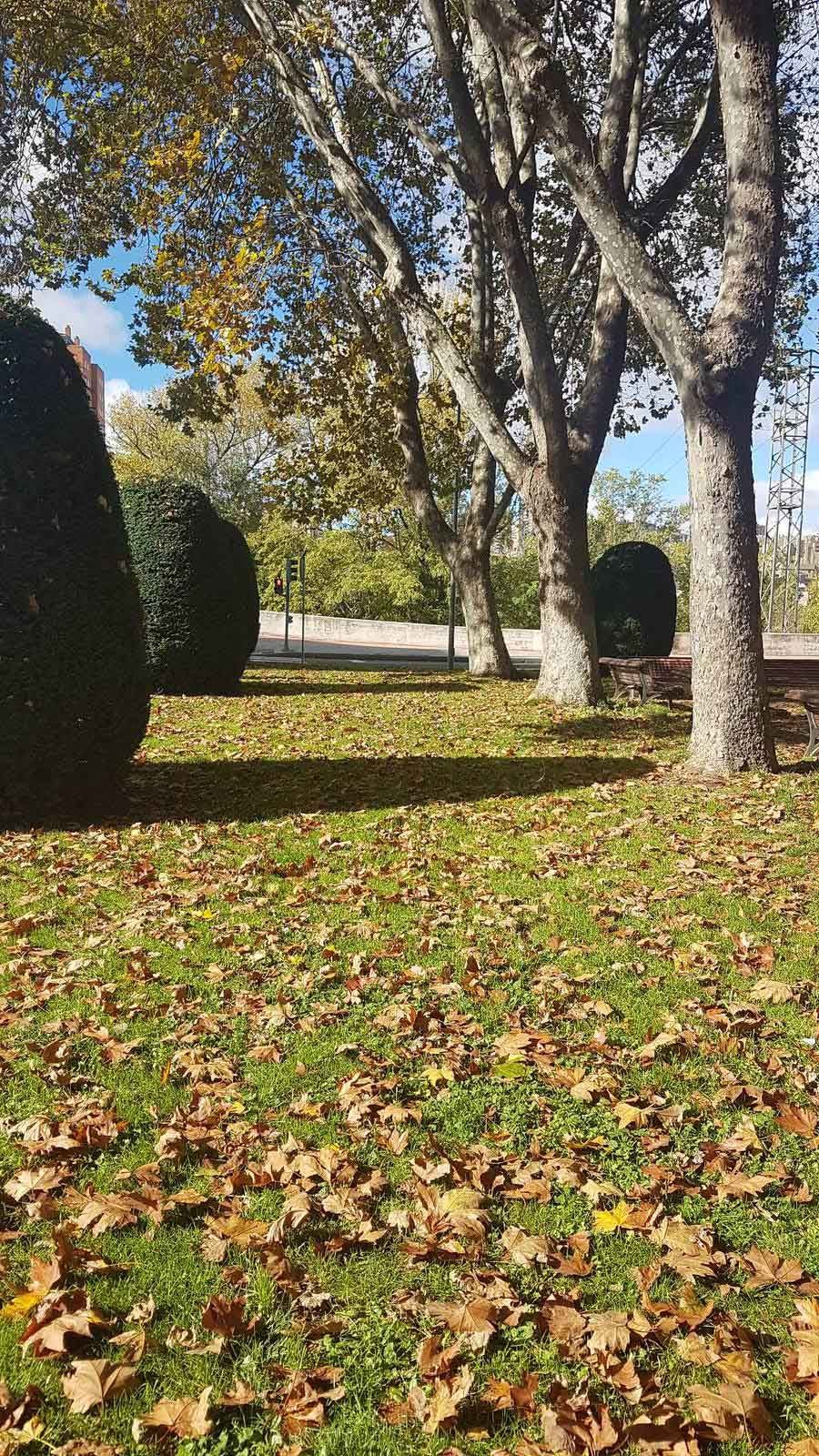Valladolid se viste de otoño