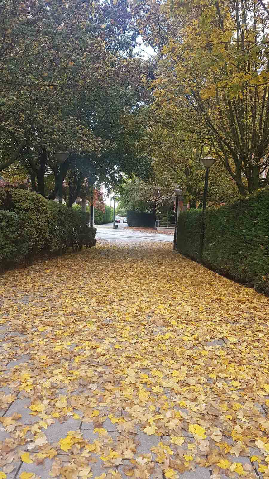 Valladolid se viste de otoño
