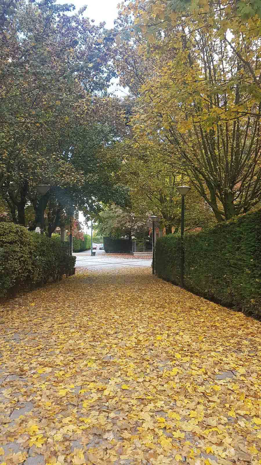 Valladolid se viste de otoño