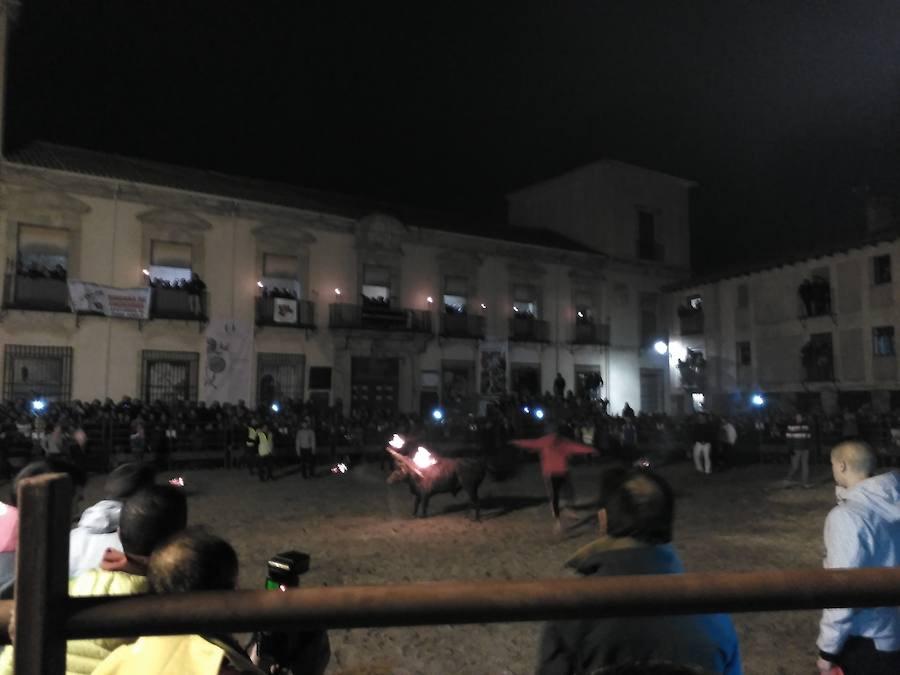 Celebración del Toro Júbilo en Medinaceli con la protesta de los antitaurinos