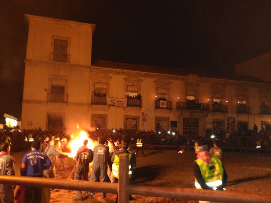 Celebración del Toro Júbilo en Medinaceli con la protesta de los antitaurinos