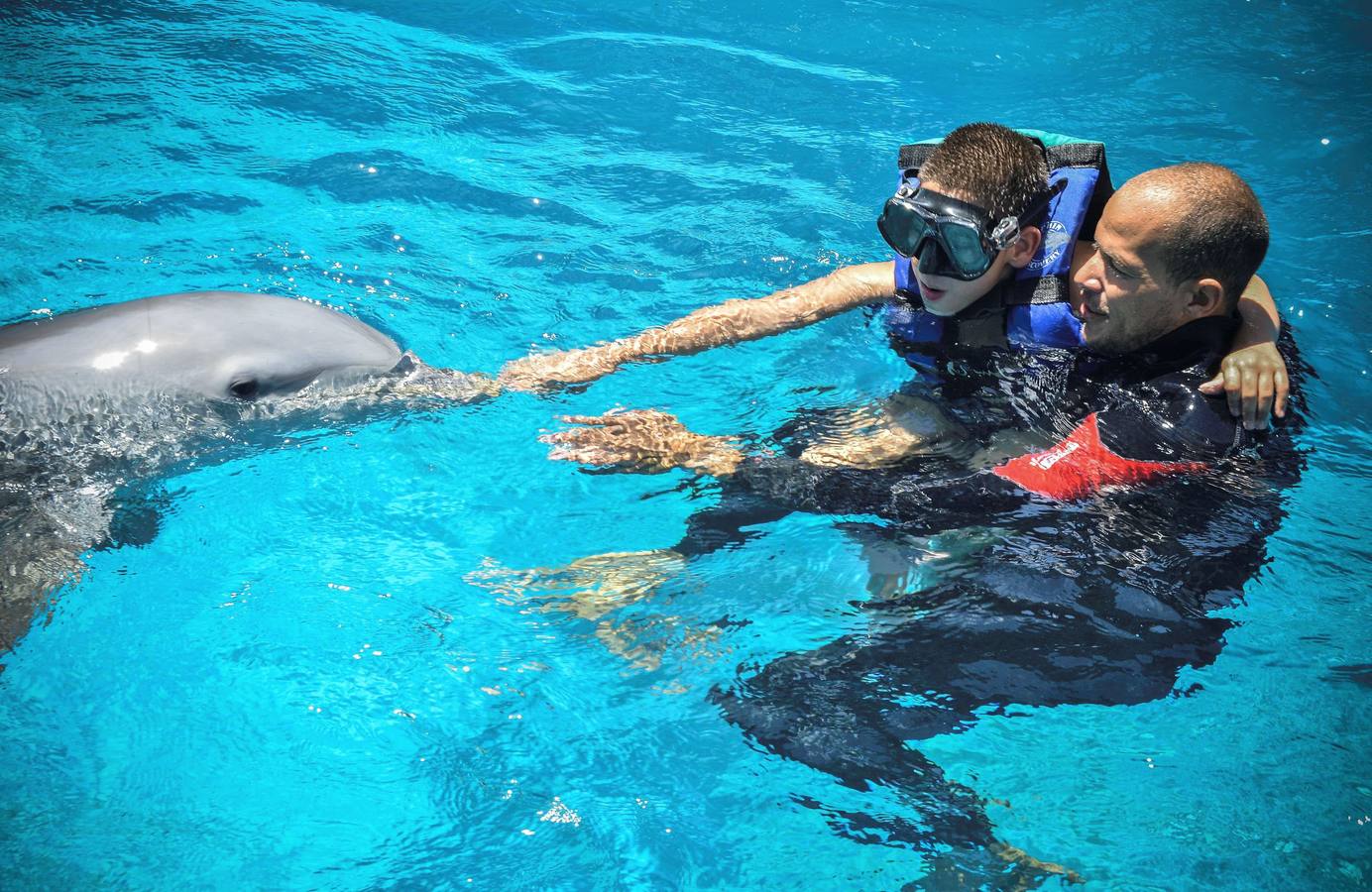 Sesión de terapia  con delfines.