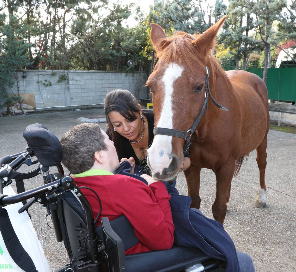 Terapia con caballos para afectados por daños cerebrales en el Centro Ictia del Camino Viejo de Simancas, en Valladolid.