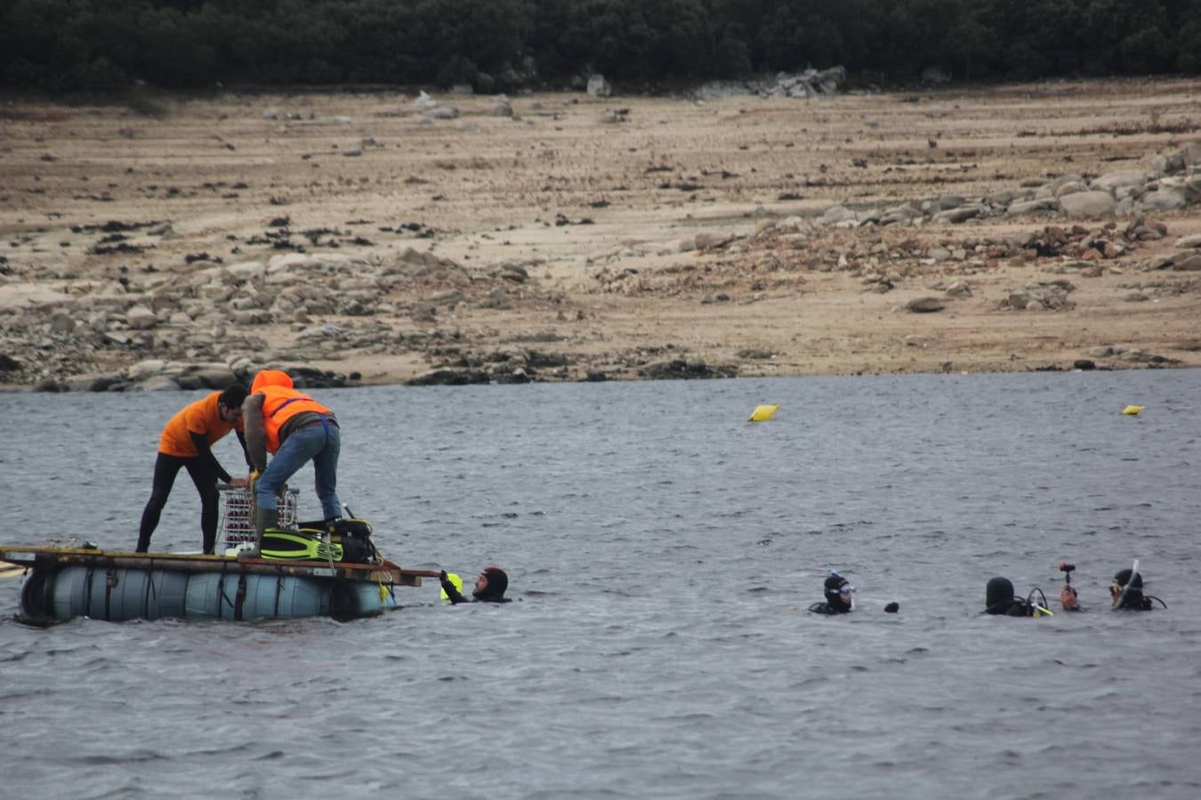 Inmersión de botellas de vino en el embalse de Las Cogotas para su envejecimiento