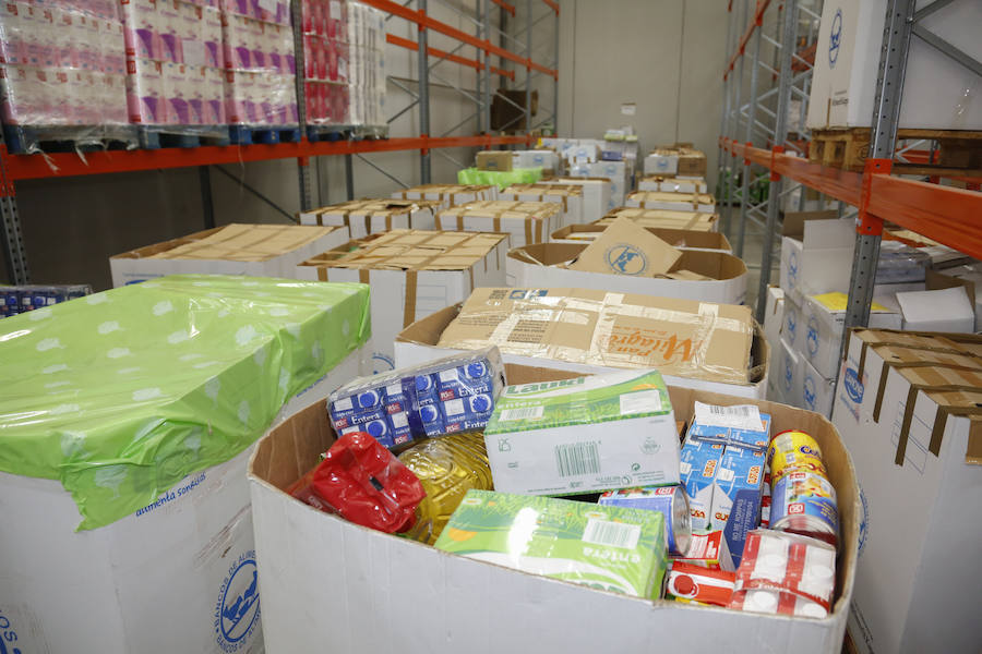 Visita de la Reina Sofía al Banco de Alimentos de Salamanca