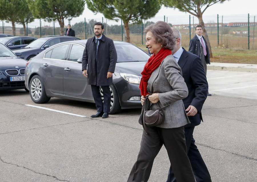 Visita de la Reina Sofía al Banco de Alimentos de Salamanca