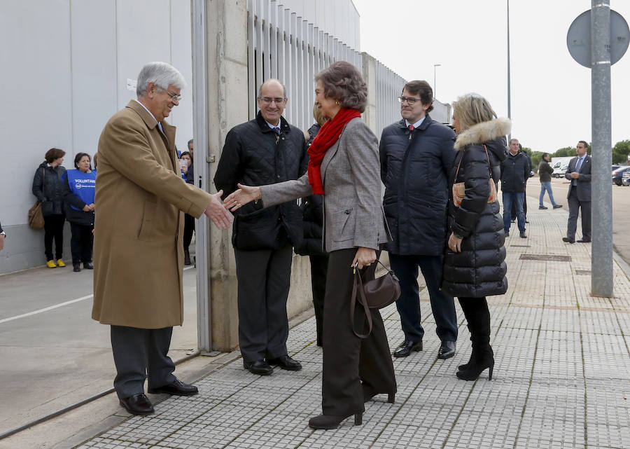 Visita de la Reina Sofía al Banco de Alimentos de Salamanca