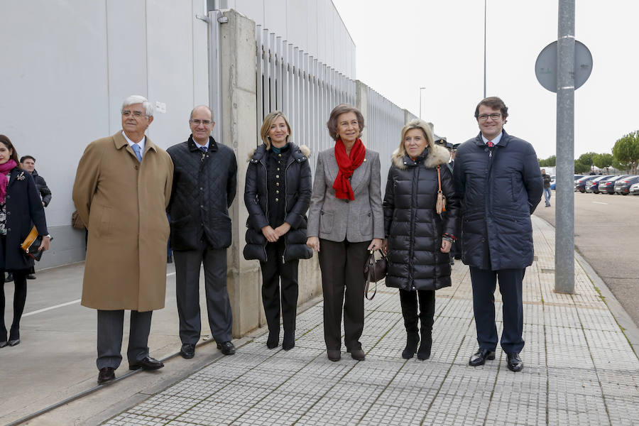 Visita de la Reina Sofía al Banco de Alimentos de Salamanca