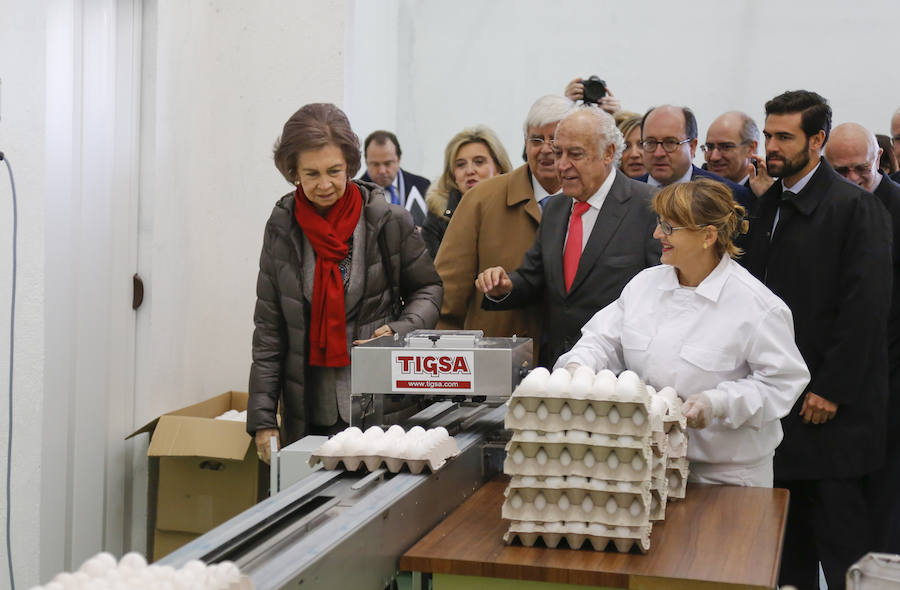 Visita de la Reina Sofía al Banco de Alimentos de Salamanca