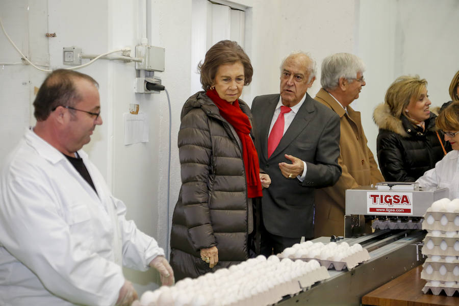 Visita de la Reina Sofía al Banco de Alimentos de Salamanca