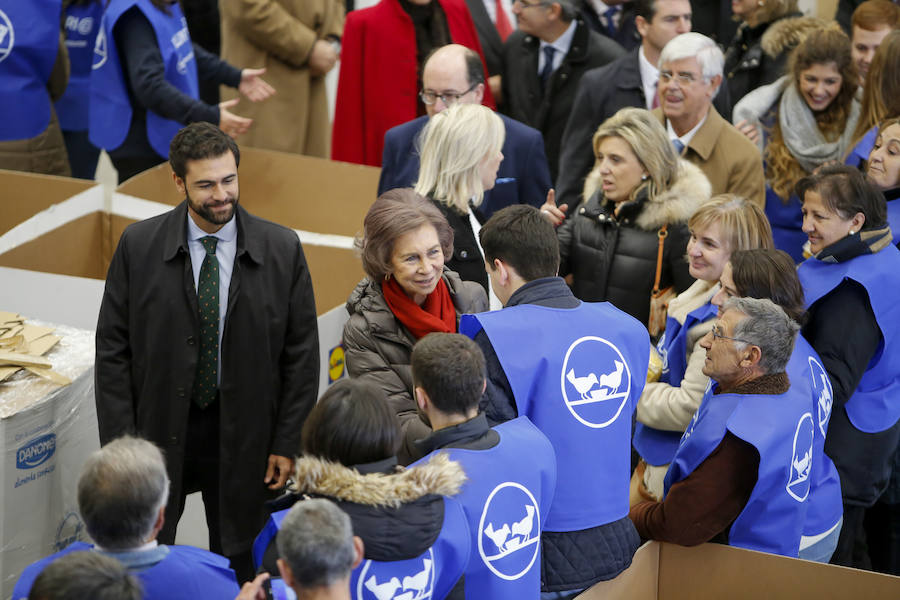 Visita de la Reina Sofía al Banco de Alimentos de Salamanca