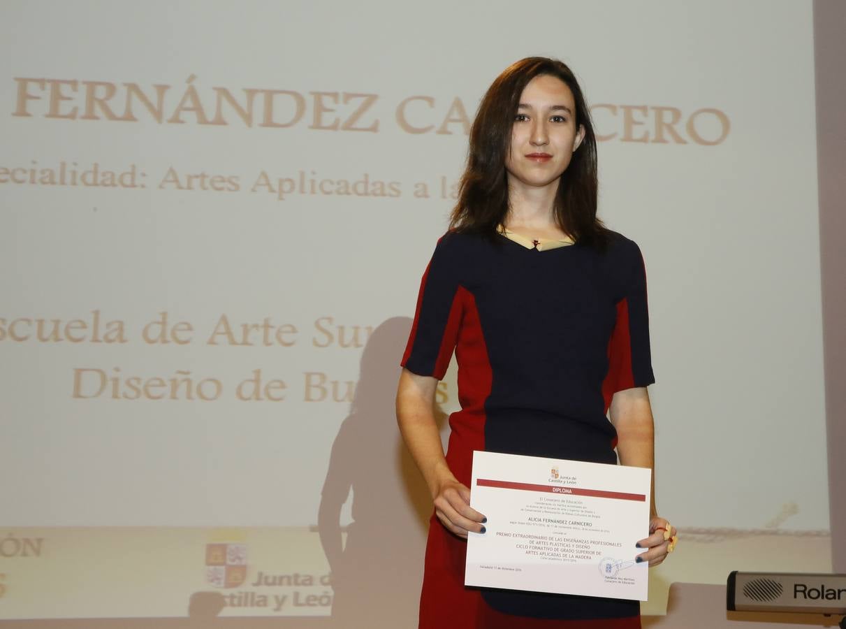 Premios Extraordinarios de Artes Plásticas y Diseño. Alicia Fernández Carnicero (Escuela de Arte de Burgos).