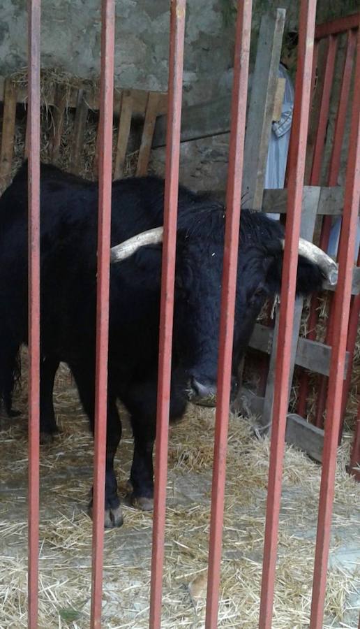 El belén viviente de Robladillo (Valladolid)