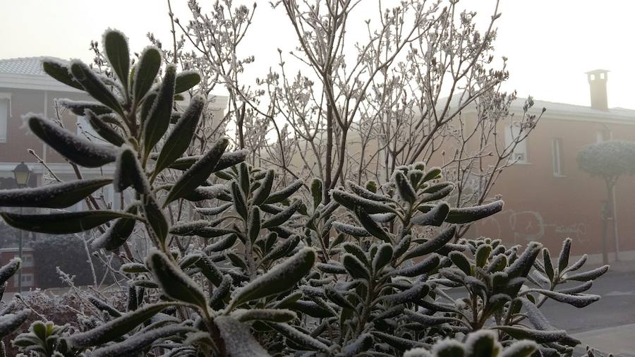Helada en Medina del Campo