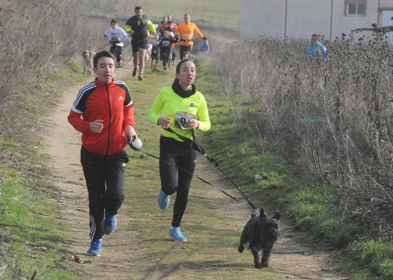 Carrera de mushing &#039;Villa de La Seca&#039;