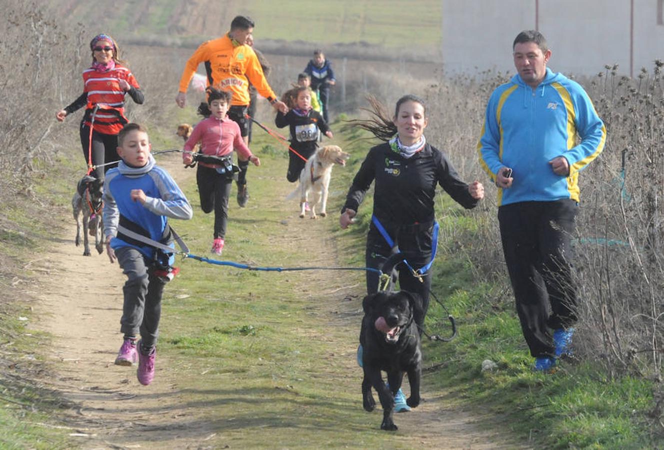 Carrera de mushing &#039;Villa de La Seca&#039;