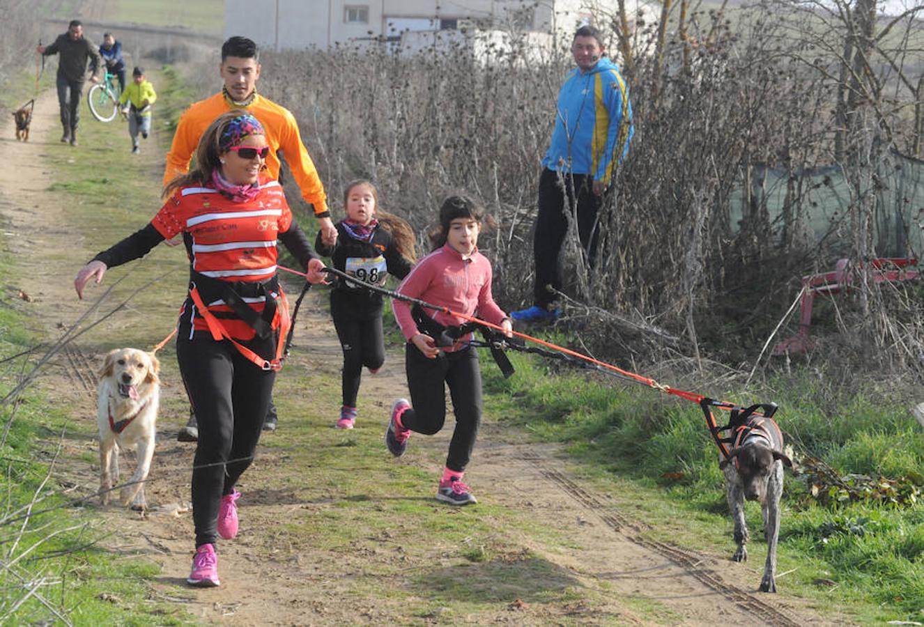 Carrera de mushing &#039;Villa de La Seca&#039;