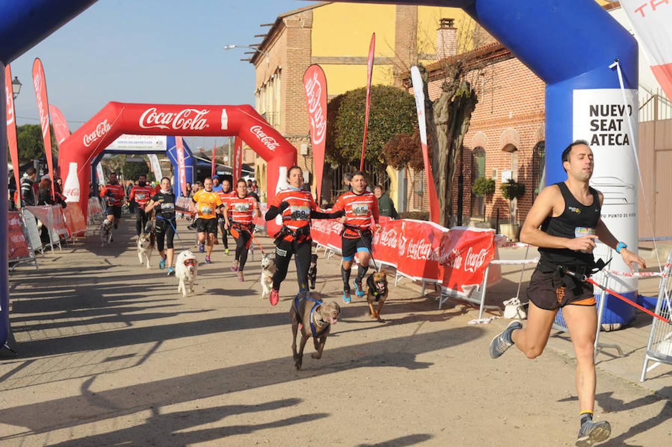 Carrera de mushing &#039;Villa de La Seca&#039;