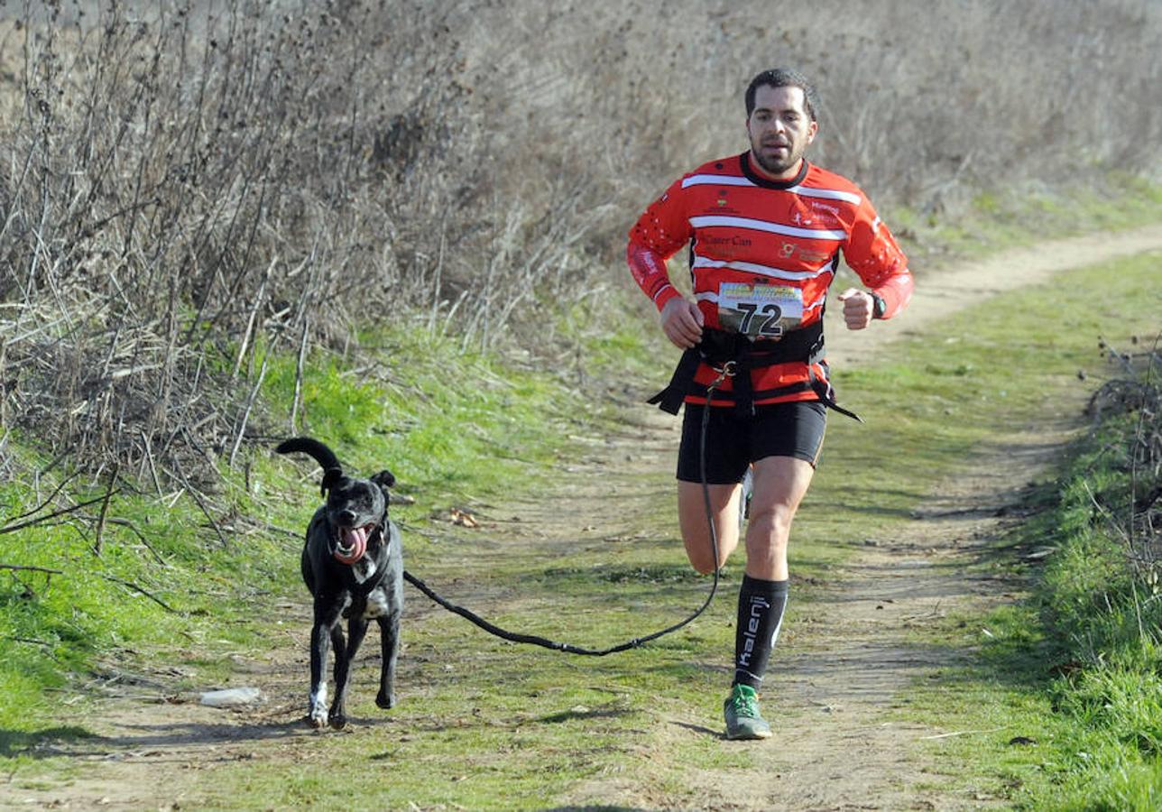 Carrera de mushing &#039;Villa de La Seca&#039;