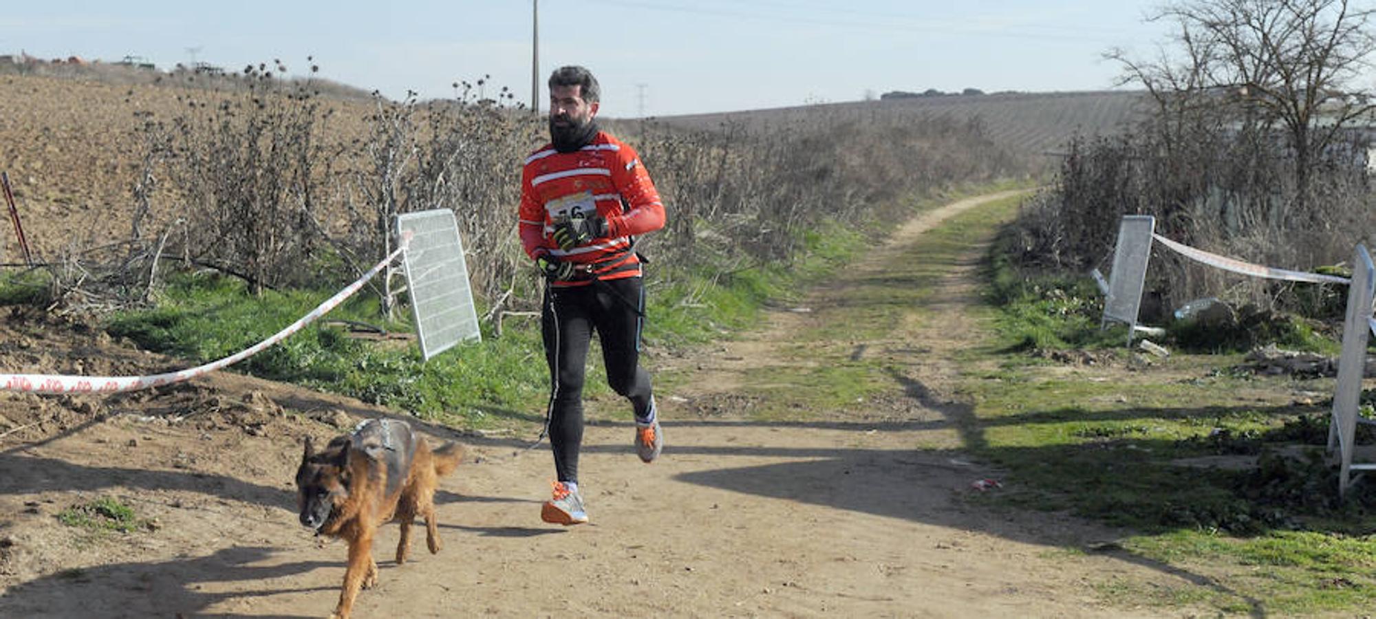 Carrera de mushing &#039;Villa de La Seca&#039;
