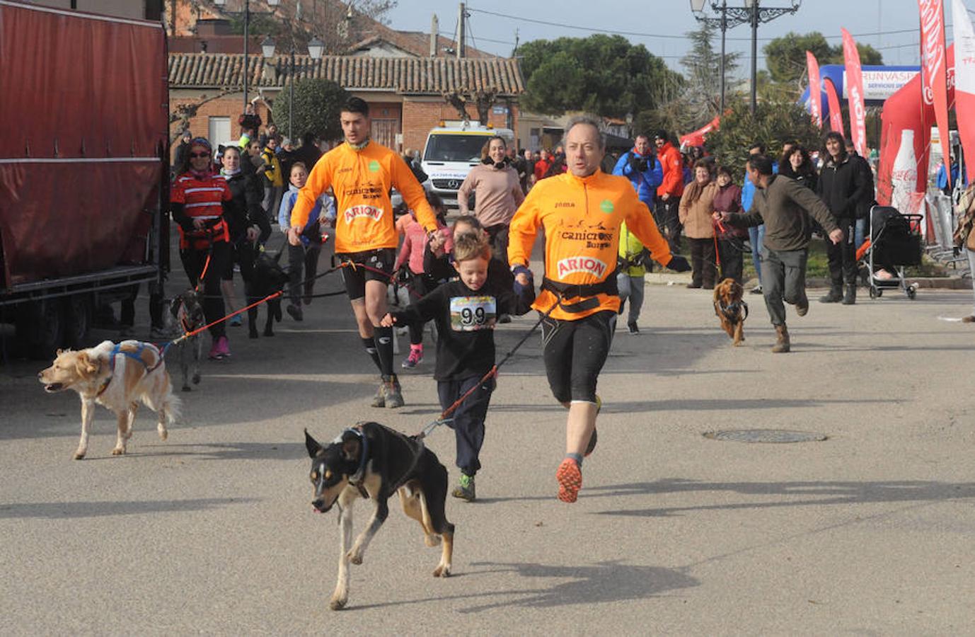 Carrera de mushing &#039;Villa de La Seca&#039;