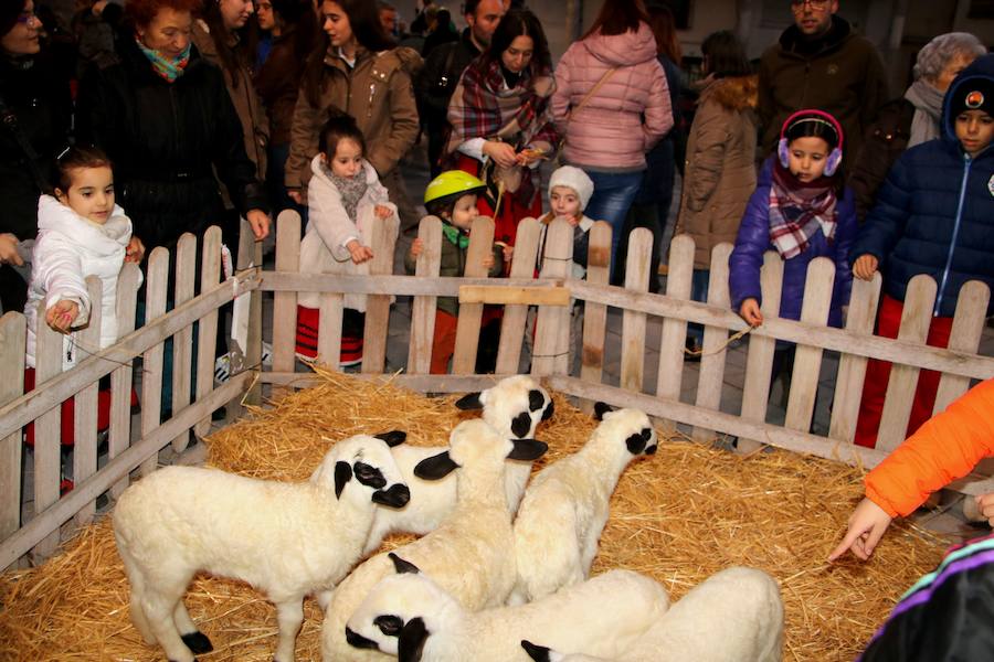 Los Reyes Magos llegan a Baltanás
