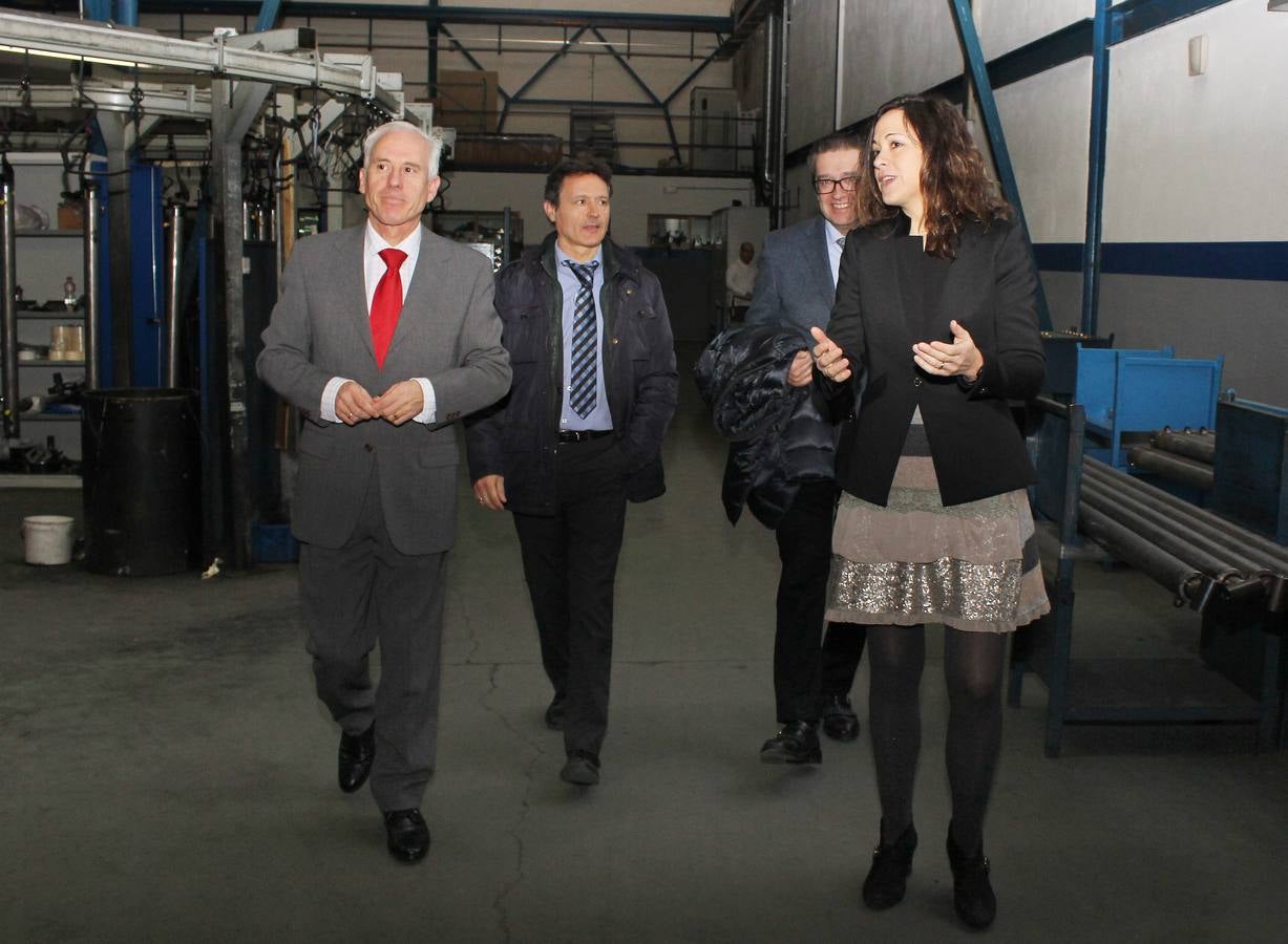 El delegado territorial, Luis Domingo González, visita las instalaciones de Cicrosa