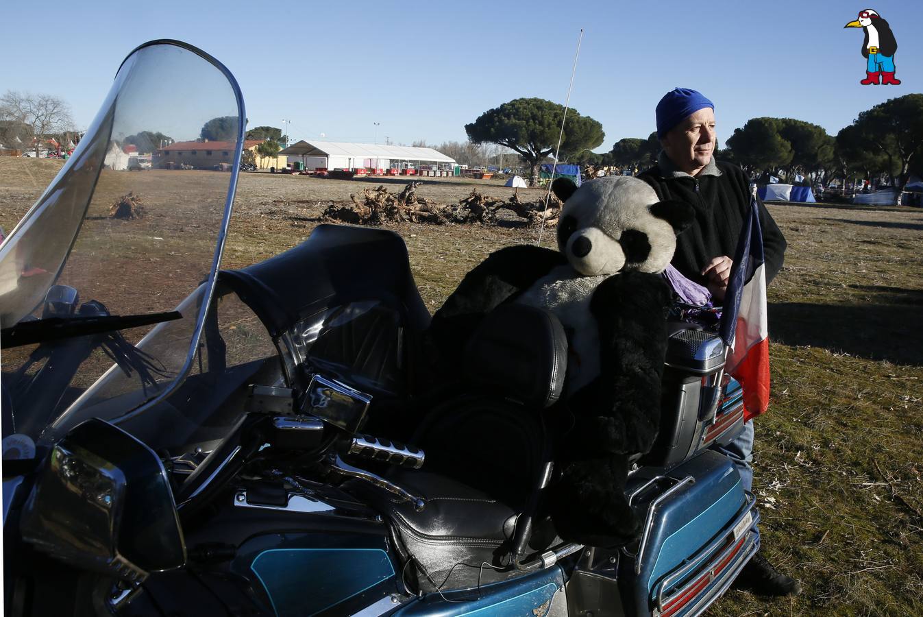 La antigua Hípica Militar se llena de Pingüinos