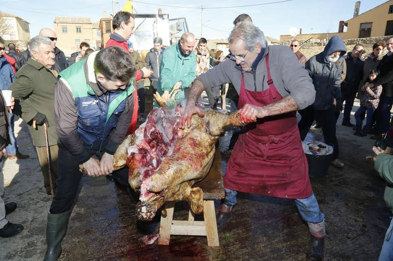 Matanza y fiesta de San Antón en Fuentes de Nava (Palencia)