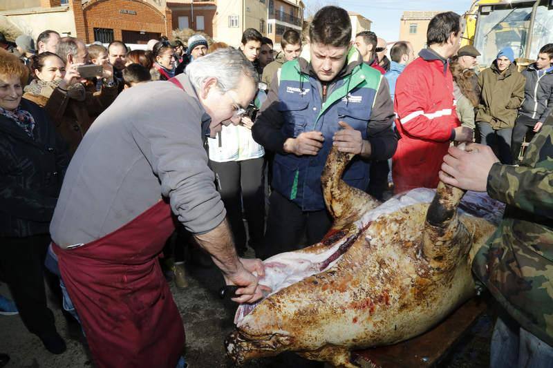 Matanza y fiesta de San Antón en Fuentes de Nava (Palencia)
