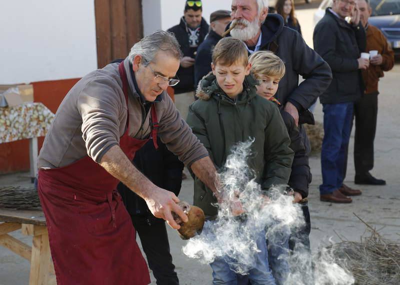 Matanza y fiesta de San Antón en Fuentes de Nava (Palencia)