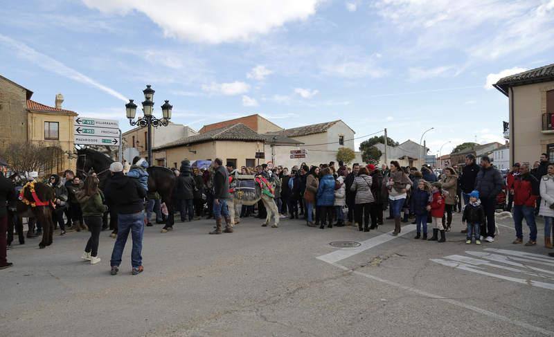 Matanza y fiesta de San Antón en Fuentes de Nava (Palencia)
