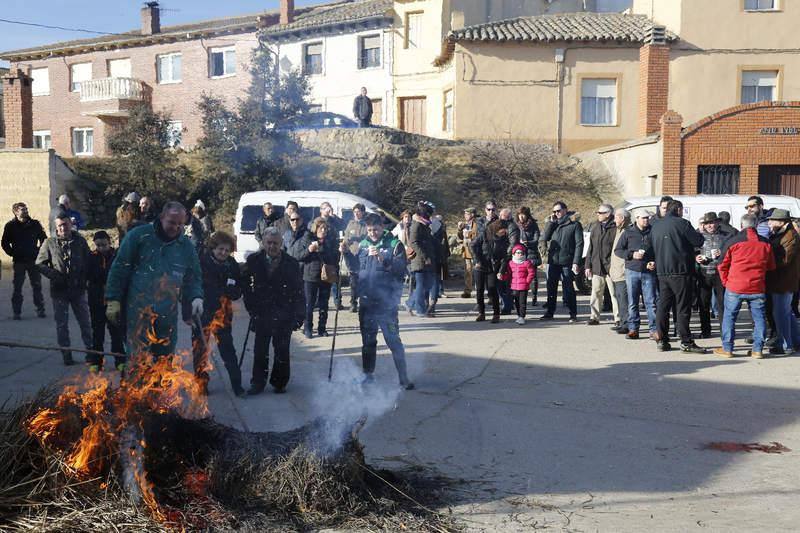 Matanza y fiesta de San Antón en Fuentes de Nava (Palencia)