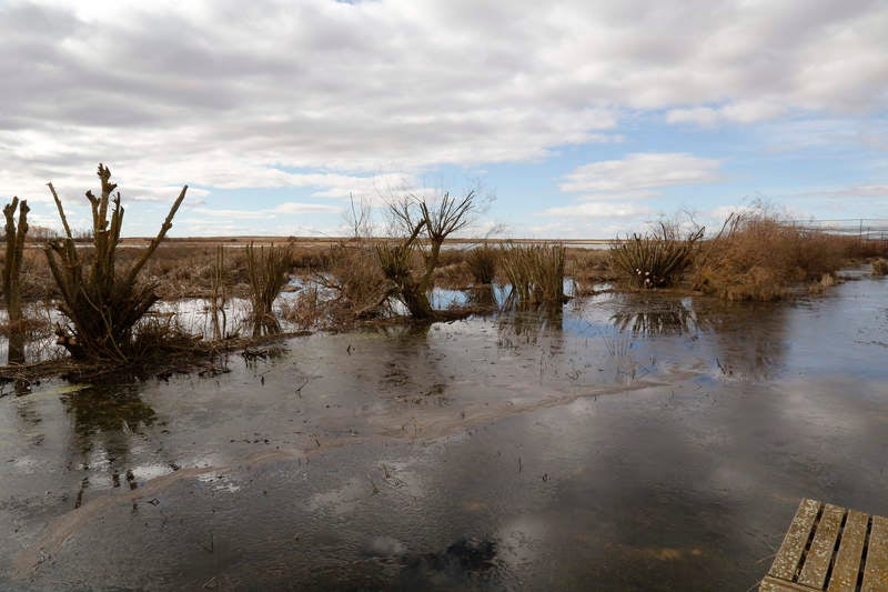 El consejero de Fomento y Medio Ambiente visita las localidades de Villarramiel, Paredes de Nava y Fuentes de Nava