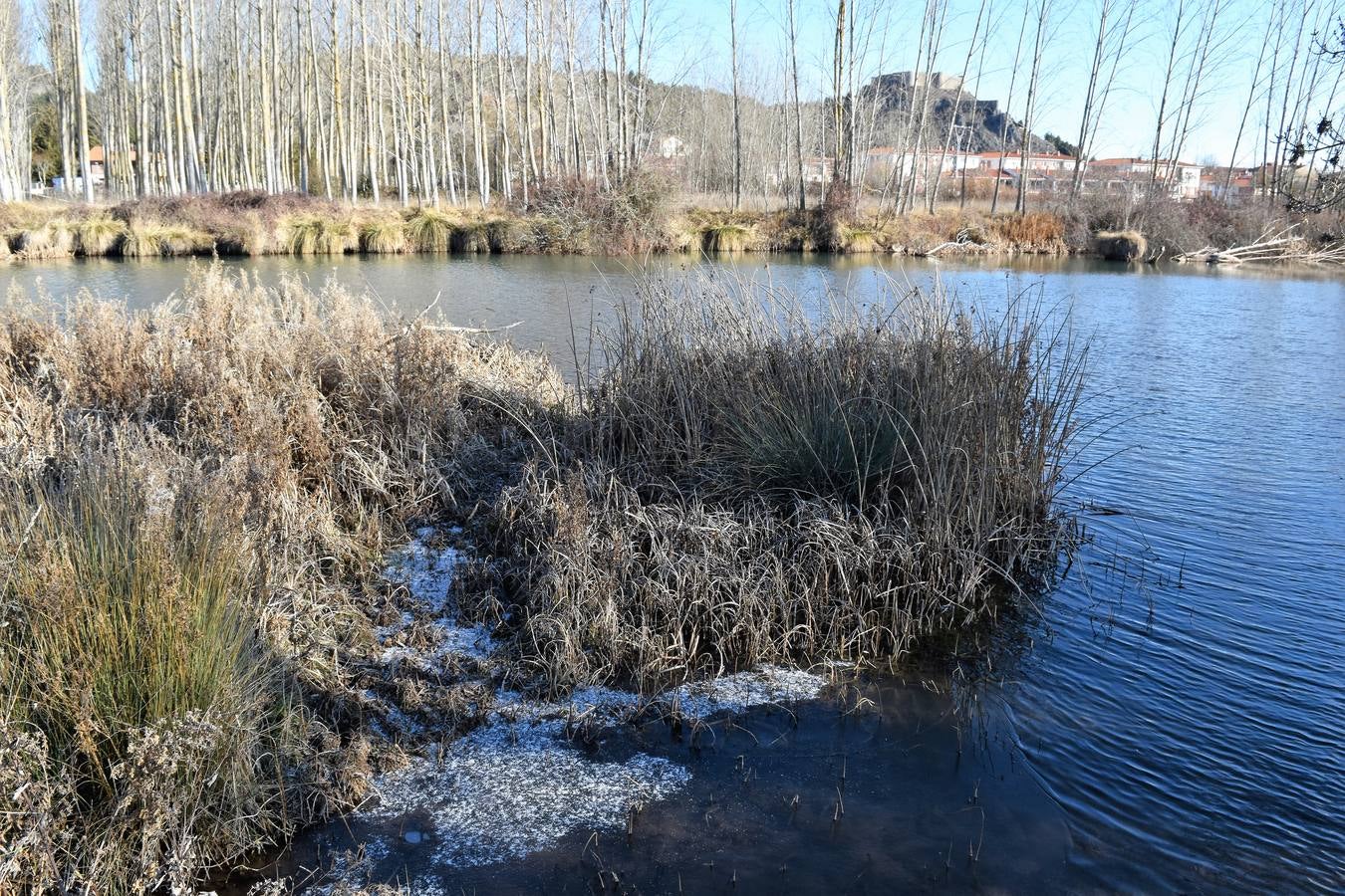 Jornada de frío en Aguilar de Campoo (Palencia)