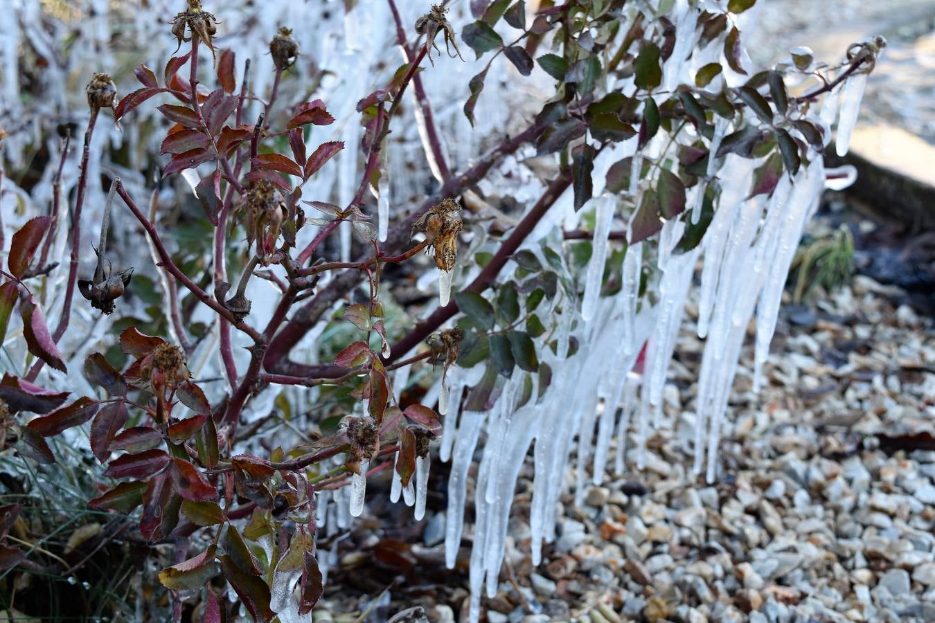 Aguilar de Campoo se congela