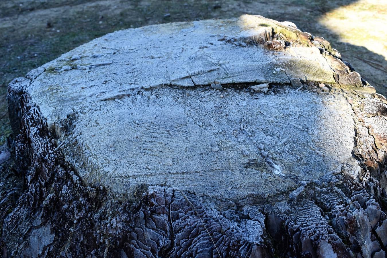 Aguilar de Campoo se congela