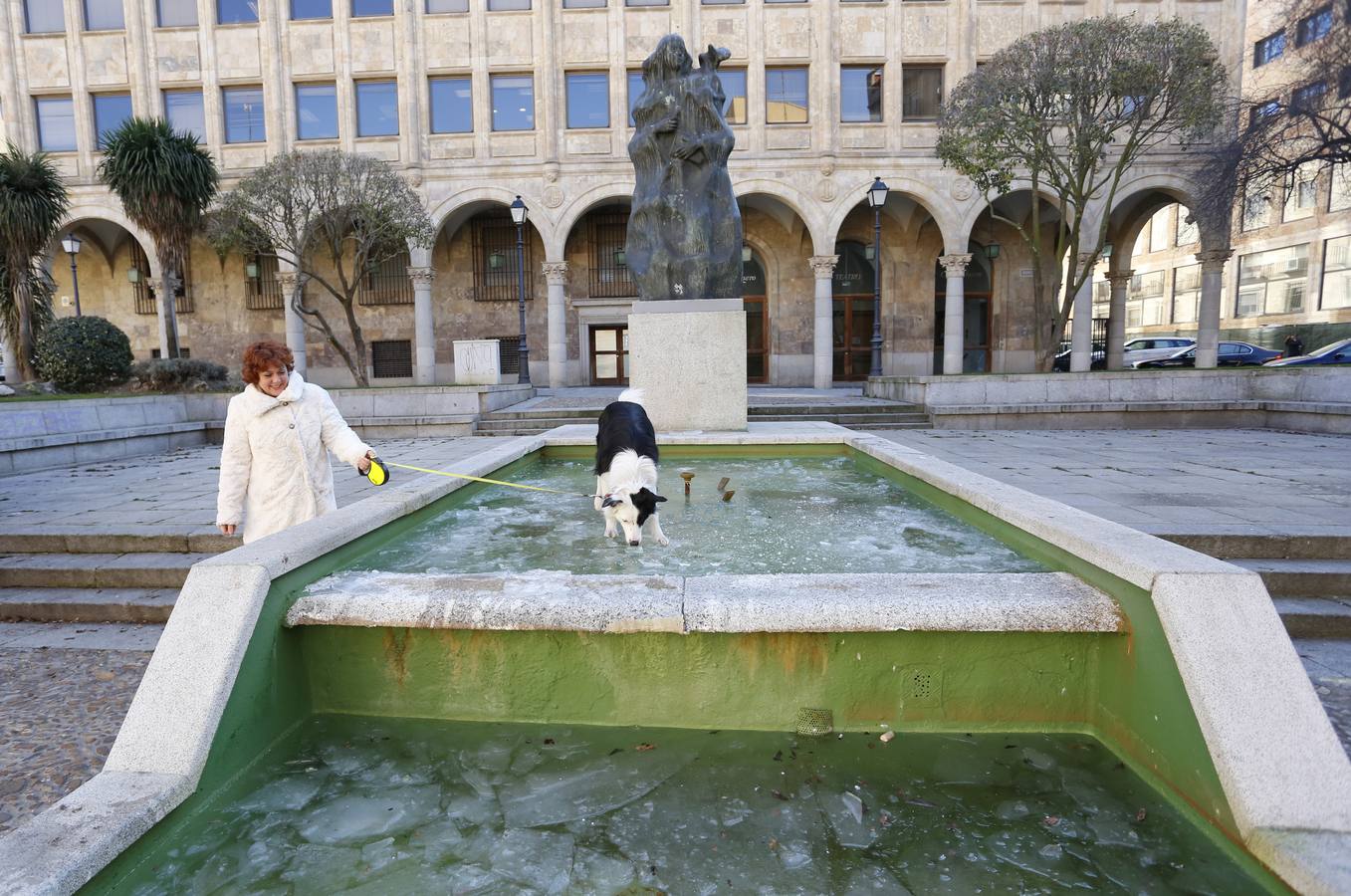 Salamanca amanece a -9º C