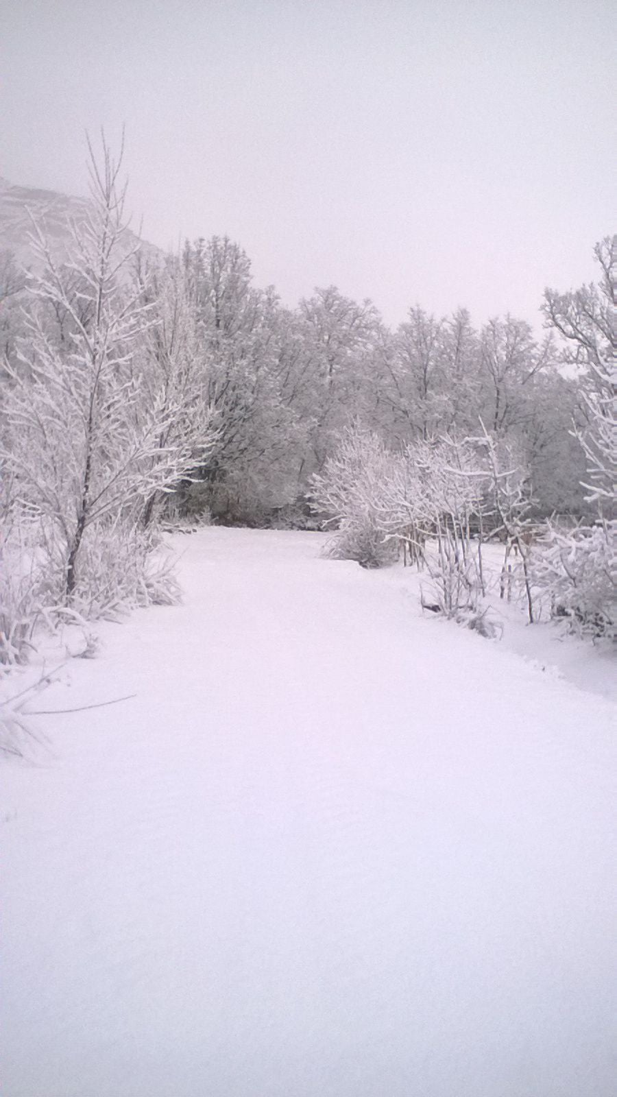Nieve en San Juan del Molinillo (Ávila)