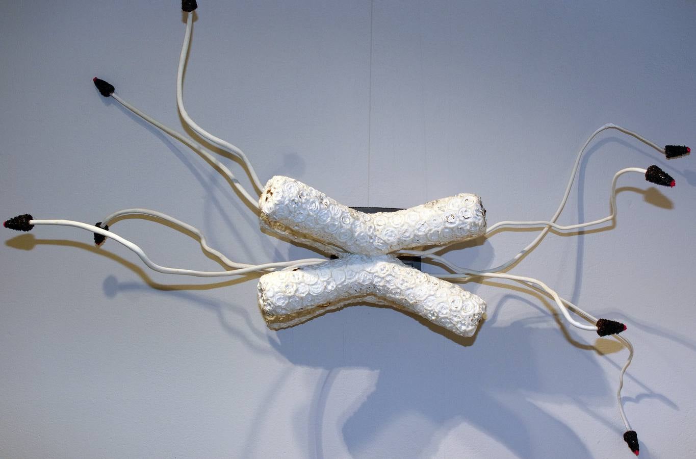 La Real Casa de Moneda acoge la exposición &#039;Homoconsumptor&#039; de la artista Damaris Montiel