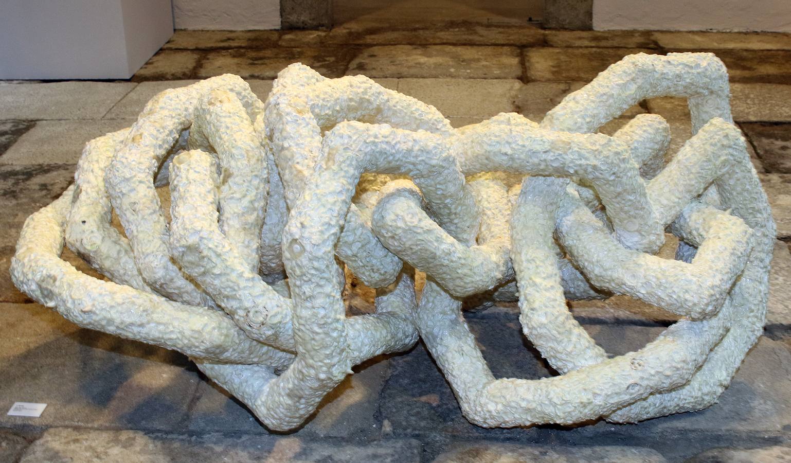 La Real Casa de Moneda acoge la exposición &#039;Homoconsumptor&#039; de la artista Damaris Montiel