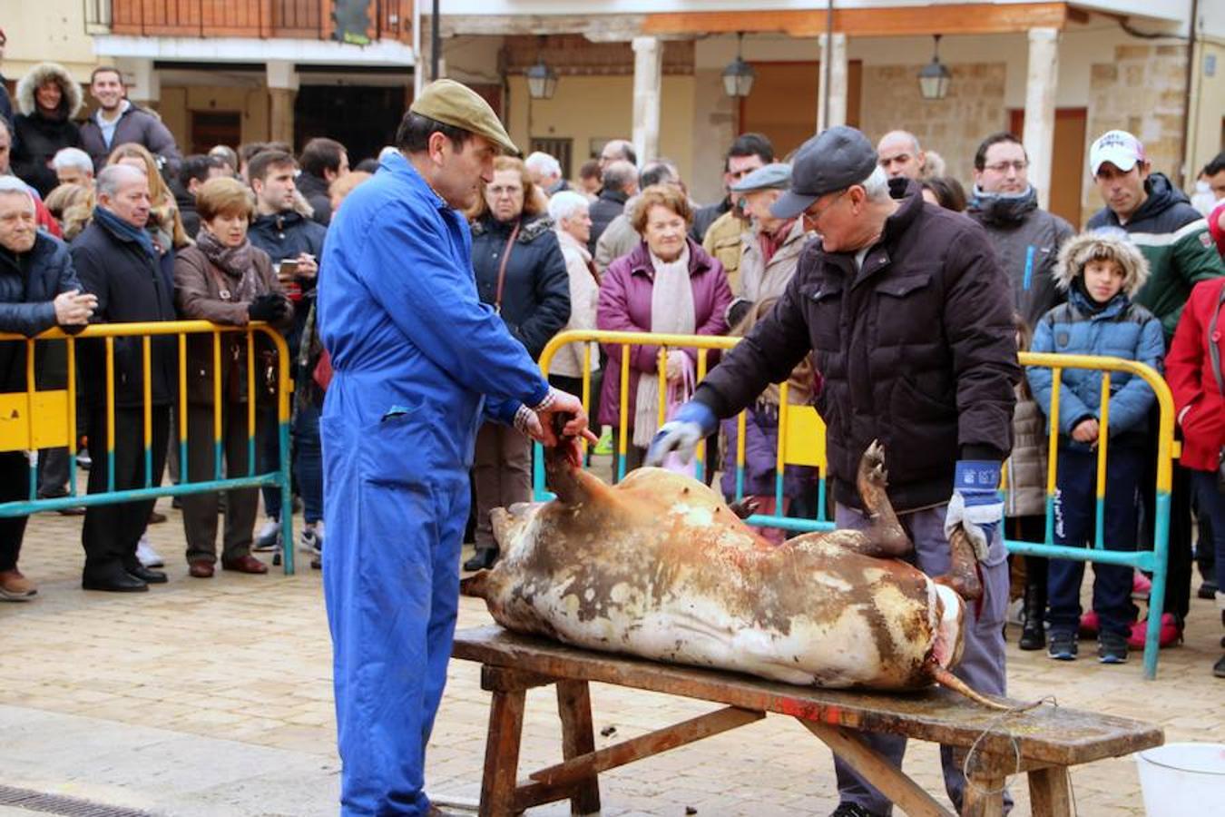 Fiesta de la Matanza en Dueñas