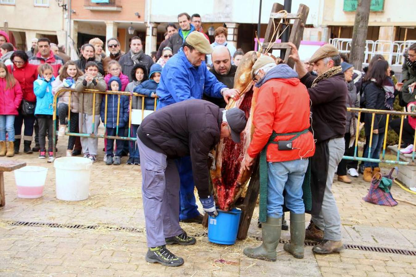 Fiesta de la Matanza en Dueñas