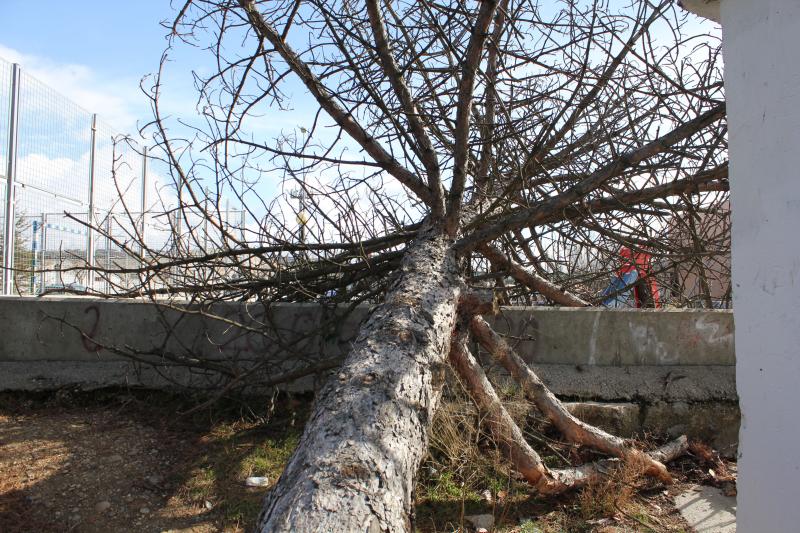 Temporal en Palencia