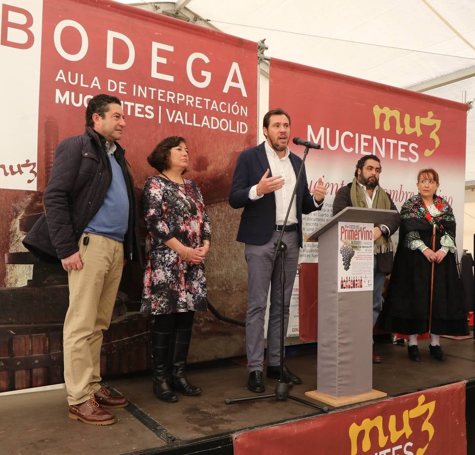 VIII edición de la Fiesta del primer vino de Mucientes