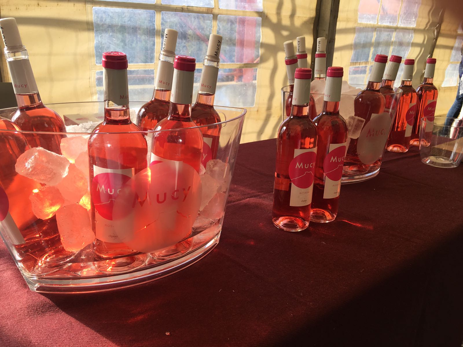 VIII edición de la Fiesta del primer vino de Mucientes