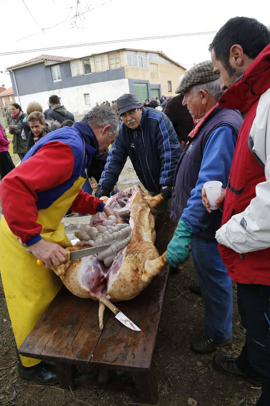 Matanza tradicional en Husillos (Palencia)